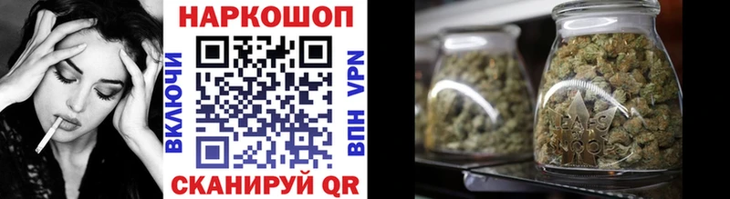Виды наркоты Юрга Гашиш  omg ТОР  Мефедрон  Канабис  A PVP  Псилоцибиновые грибы 