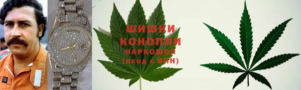 крисы Вязьма