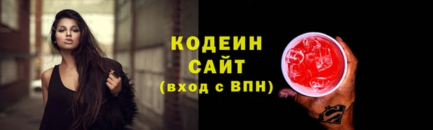 крисы Вязьма