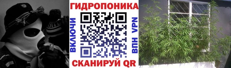 ОМГ ОМГ онион  Юрга  Бошки Шишки семена  купить наркотики цена 